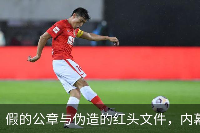 假的公章与伪造的红头文件，内幕真相大揭露